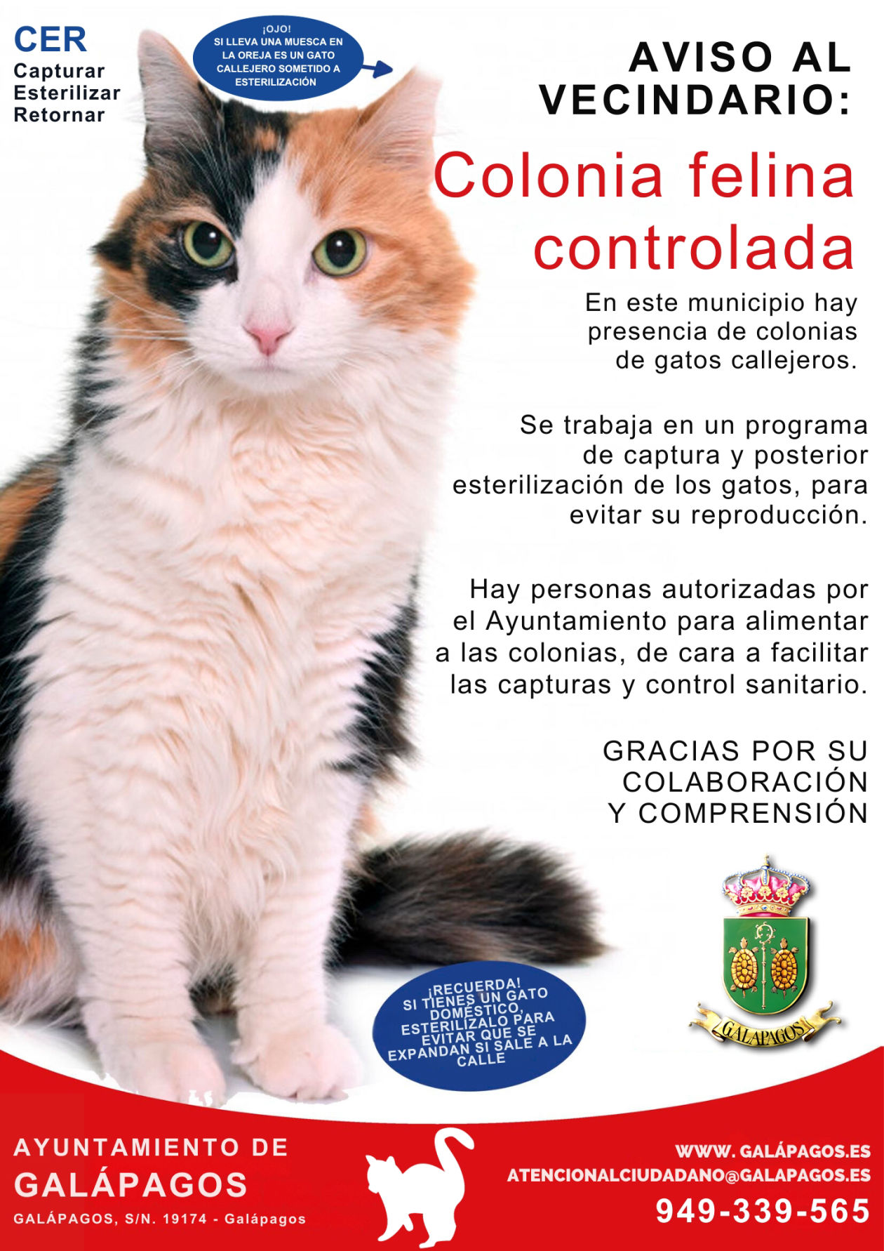 Ayuntamiento de Galápagos